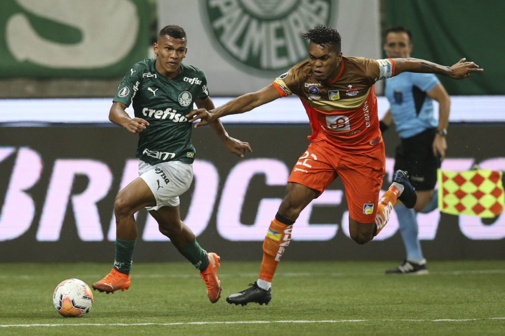 FBL-LIBERTADORES-PALMEIRAS-DELFIN