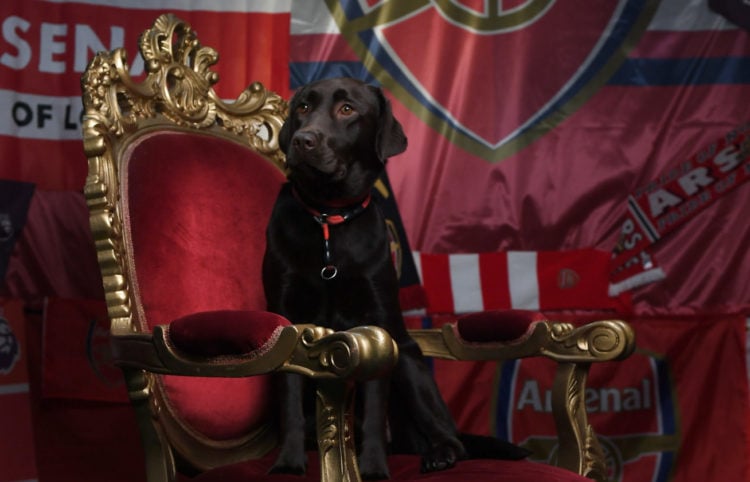 Photo by David Price/Arsenal FC via Getty Images