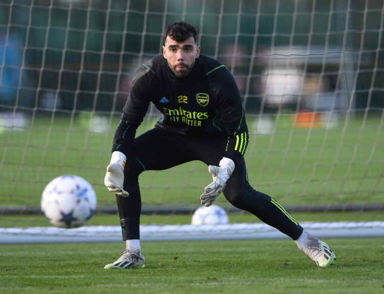 Photo by David Price/Arsenal FC via Getty Images