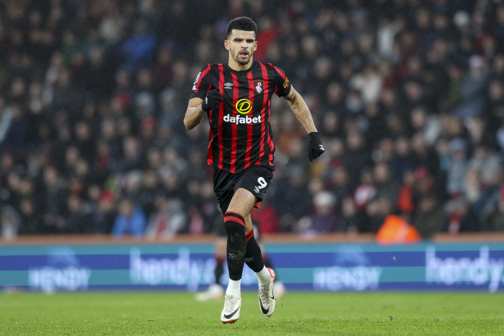 AFC Bournemouth v Luton Town - Premier League