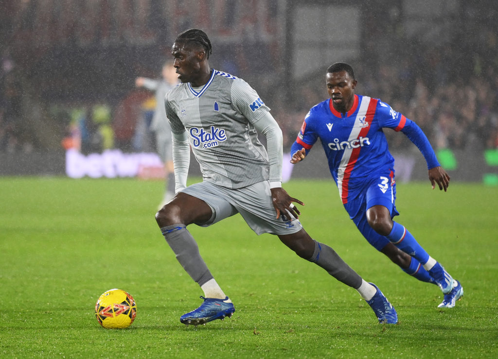 Crystal Palace v Everton - Emirates FA Cup Third Round