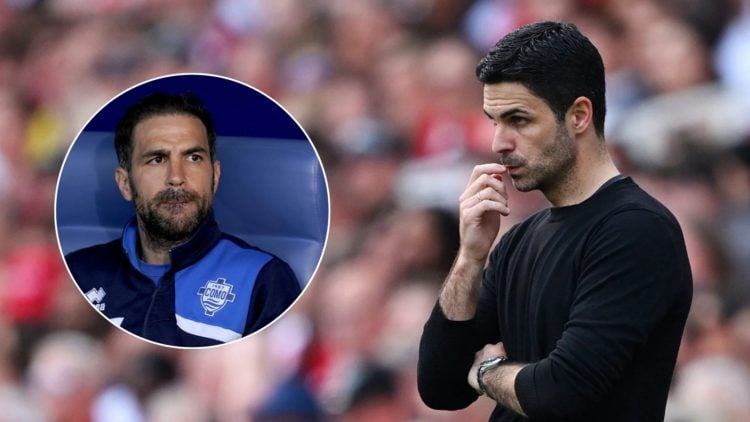 Mikel Arteta looks on at a match. Inset, Cesc Fabregas looks over a match.