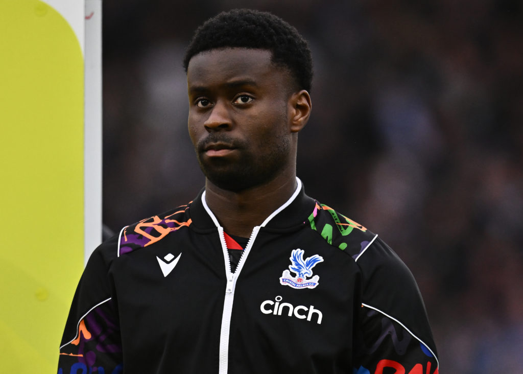 Brighton & Hove Albion v Crystal Palace - Premier League