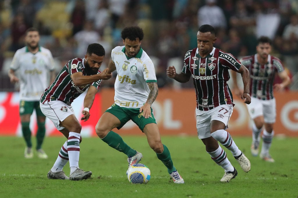 Fluminense v Palmeiras - Brasileirao 2024