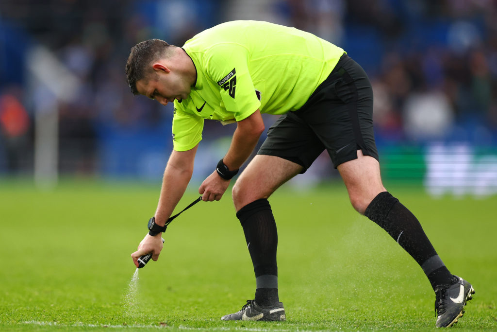 Brighton & Hove Albion FC v Wolverhampton Wanderers FC - Premier League