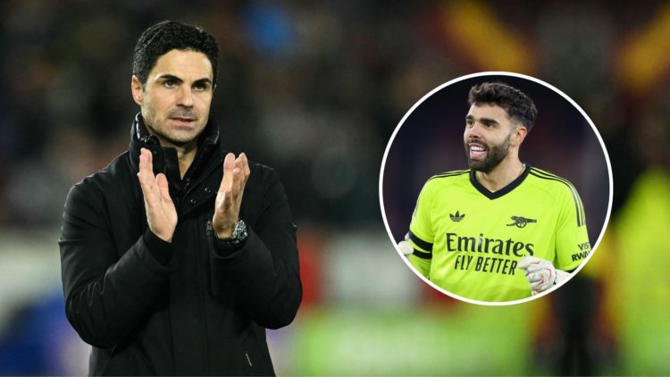 Mikel Arteta and David Raya.