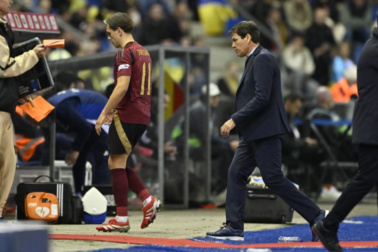  Photo by Jan De Meuleneir / Photonews via Getty Images