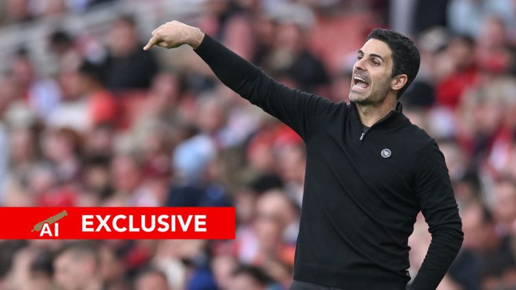 An image featuring Arsenal boss Mikel Arteta gesturing during a match with Brentford.