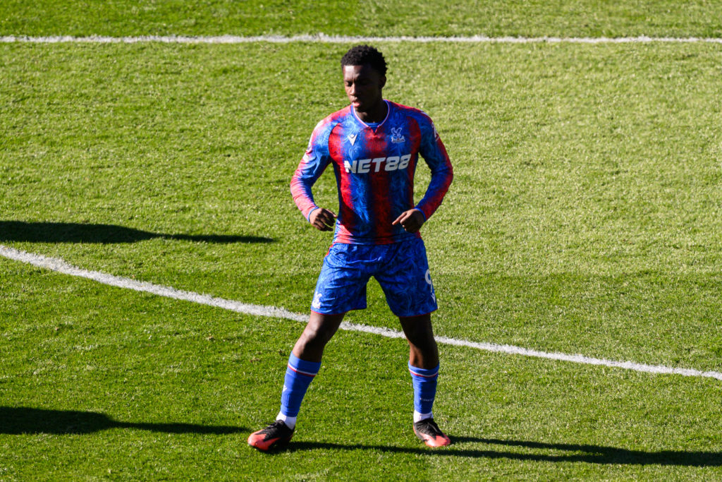 Crystal Palace FC v Brighton & Hove Albion FC - Premier League