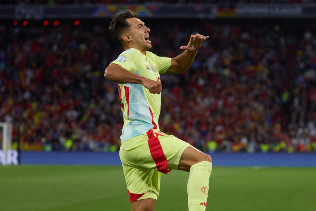 Martin Zubimendi celebrates for Spain